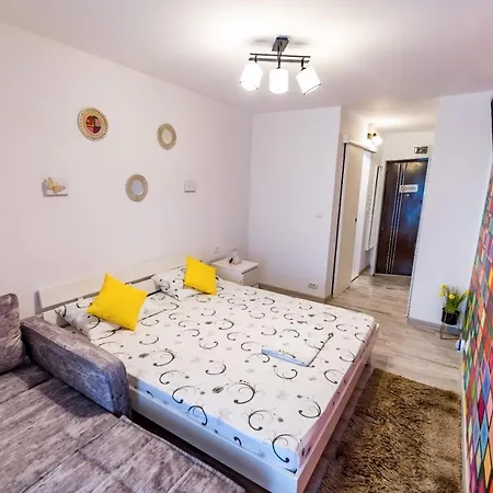 Studio & Apartament Anasof 公寓 *