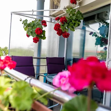 Studio & Apartament Anasof
