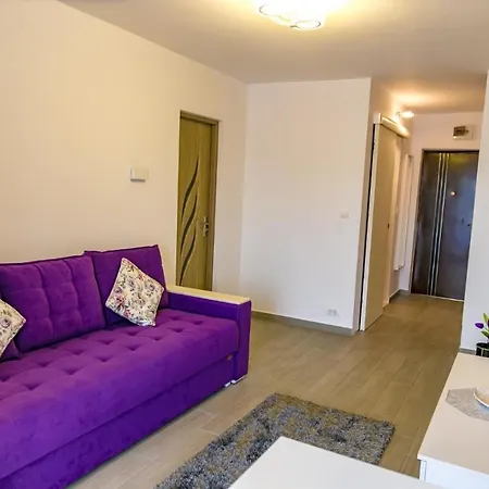 Studio & Apartament Anasof 萨图恩