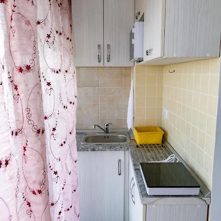公寓 Studio & Apartament Anasof 萨图恩