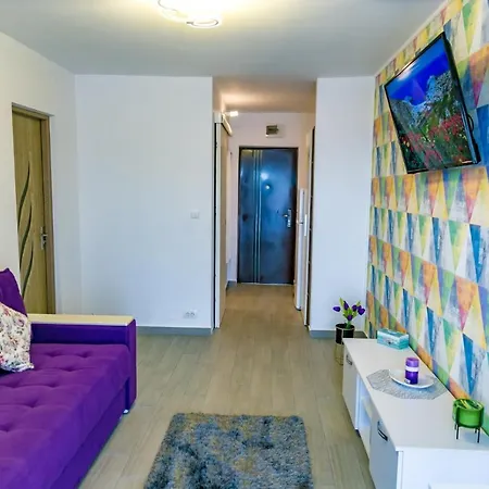 公寓 Studio & Apartament Anasof