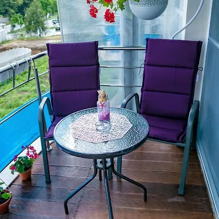 Studio & Apartament Anasof 公寓 萨图恩