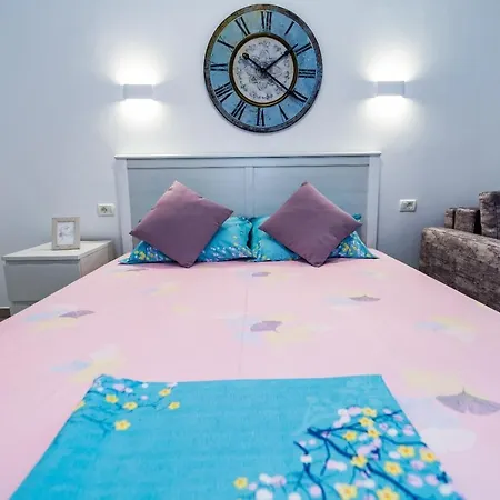 公寓 Studio & Apartament Anasof 萨图恩