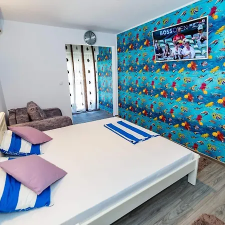Studio & Apartament Anasof 公寓