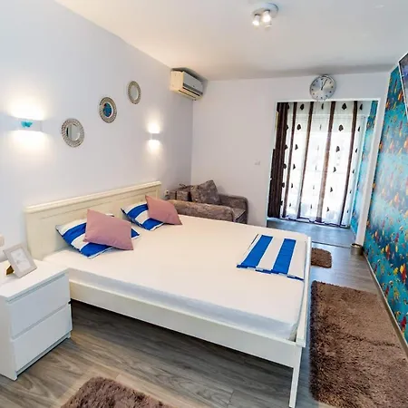 Studio & Apartament Anasof 公寓 *